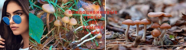 марки lsd Михайловск